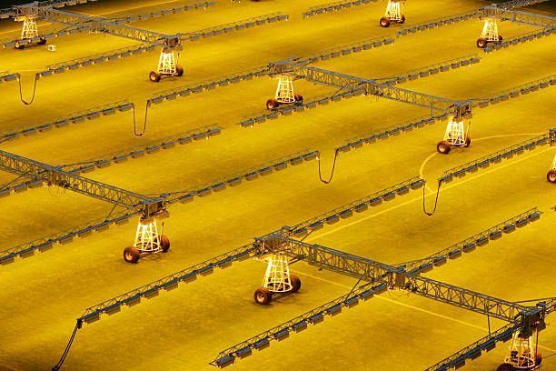 2023亚洲杯：中国足球的“黄金一代”能否崛起？